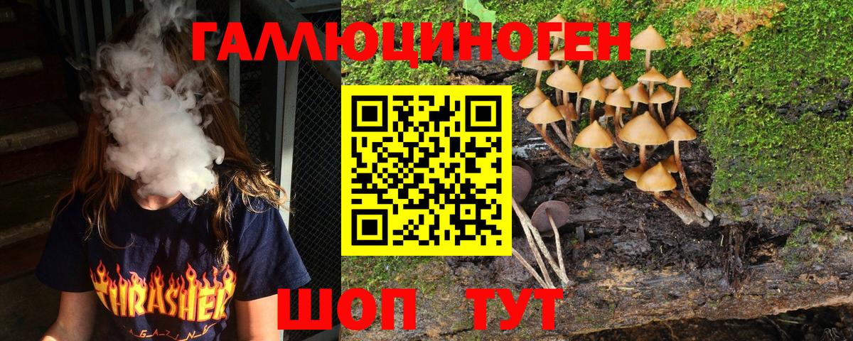 Барабинск  Псилоцибиновые грибы Psilocybe  дарнет шоп  Псилоцибиновые грибы MAGIC MUSHROOMS  Вход с VPN 